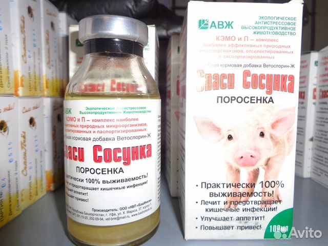 Понос у поросенка чем лечить в домашних условиях Понос у поросенка чем лечить в домашних условиях