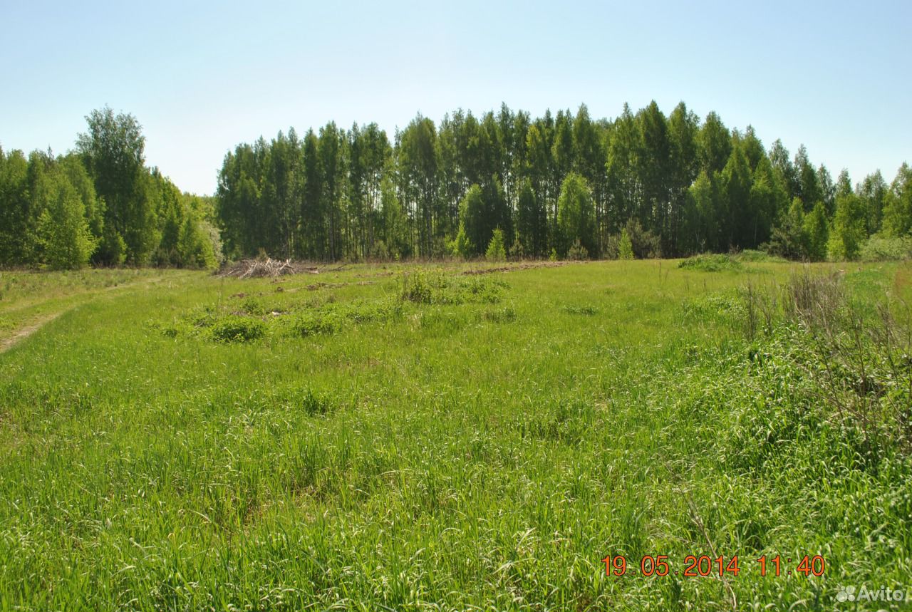 Щепачиха нижегородская область карта - 98 фото