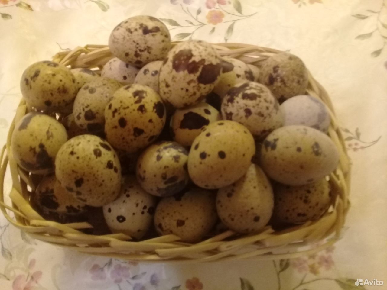 Яйцо перепелиное домашнее купить на Зозу.ру - фотография № 1