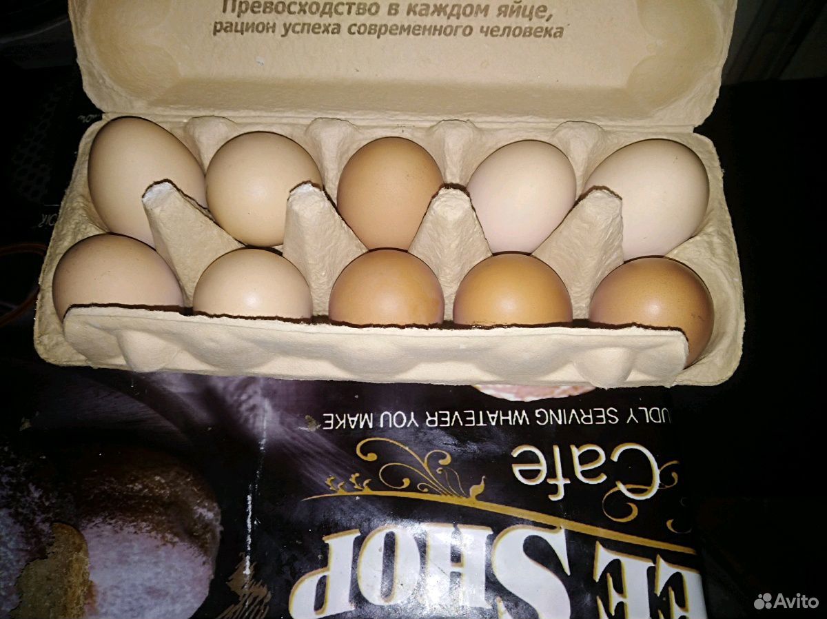 Домашние яйца куриные купить на Зозу.ру - фотография № 1