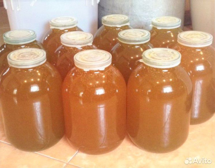 Натуральный мёд с разнотравья купить на Зозу.ру - фотография № 1