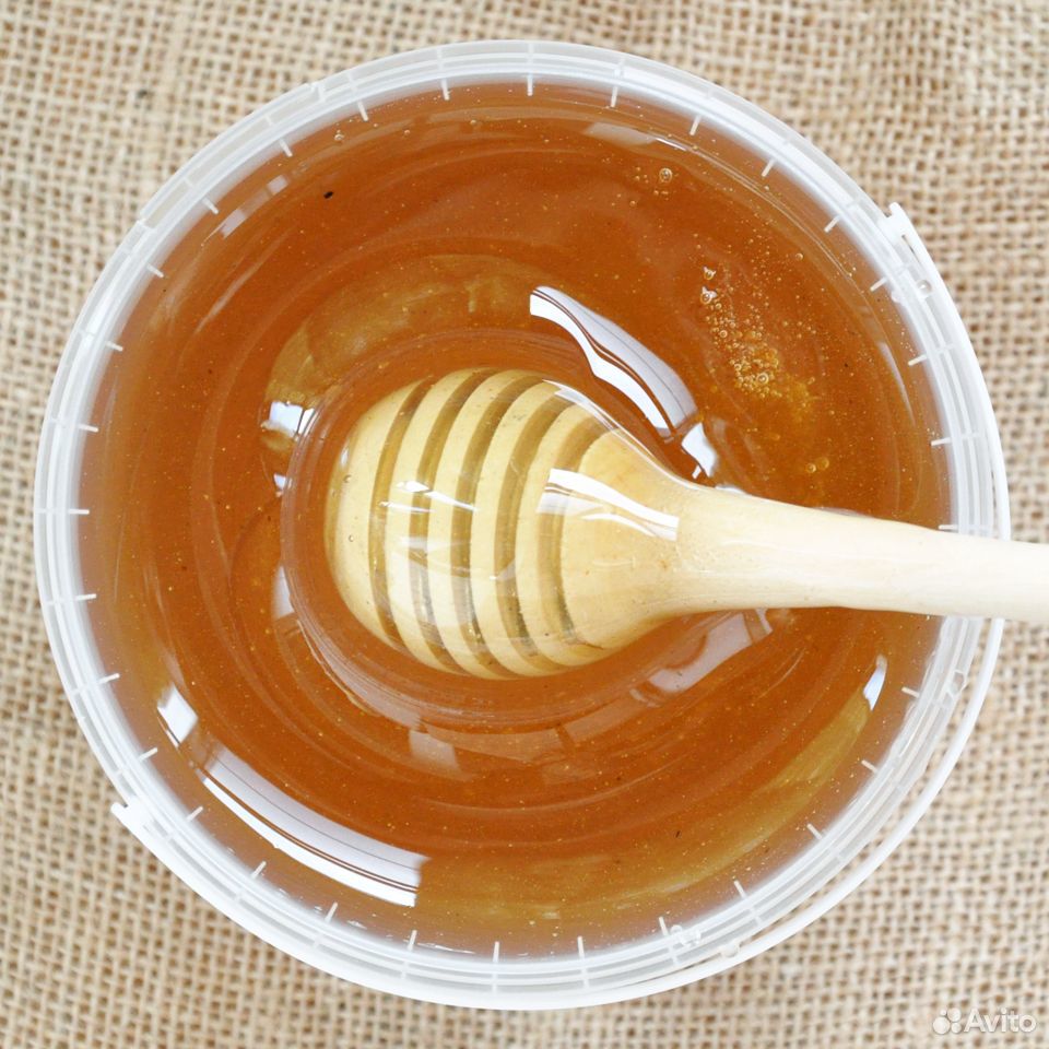 Алтайский мёд в Кудрово, цена за 1,4кг купить на Зозу.ру - фотография № 2