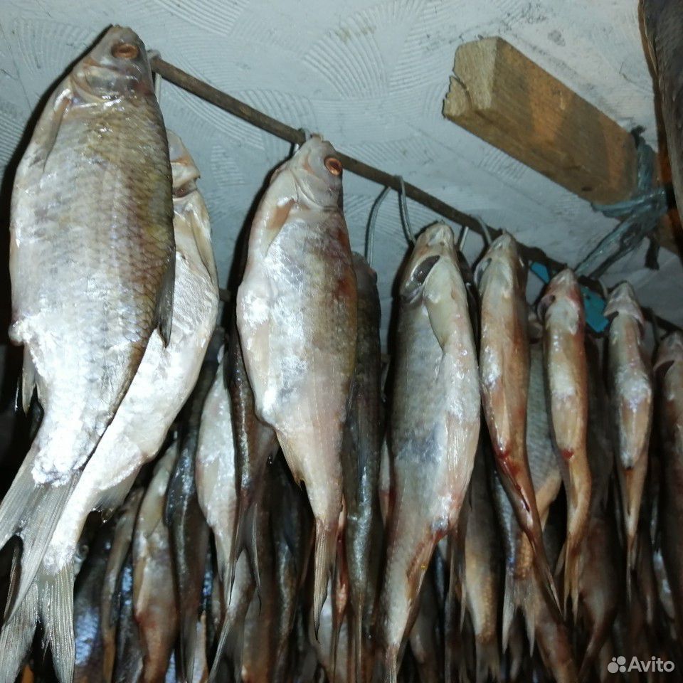 Рыба тарань вяленная купить на Зозу.ру - фотография № 1