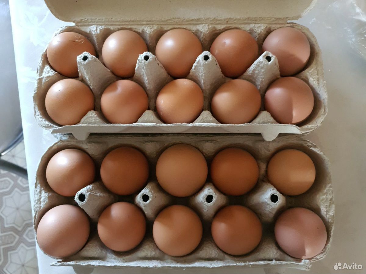 Яйца домашнее купить на Зозу.ру - фотография № 2