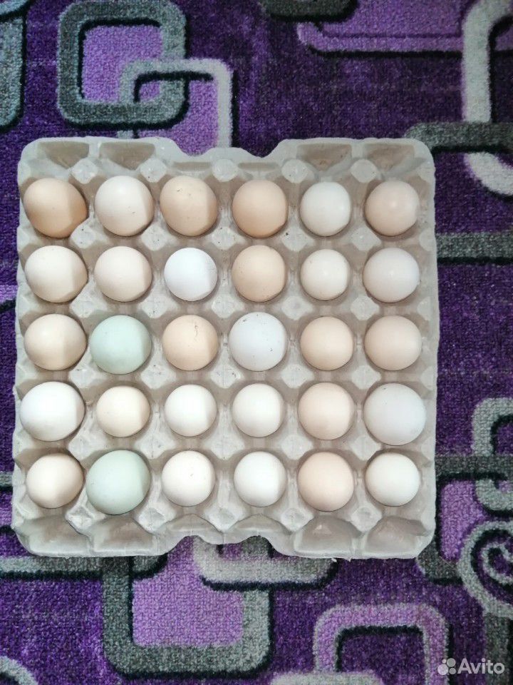 Яйцо домашних китайских кур купить на Зозу.ру - фотография № 1