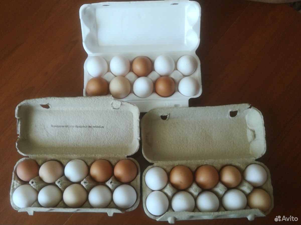 Яйца куриные деревенские купить на Зозу.ру - фотография № 2