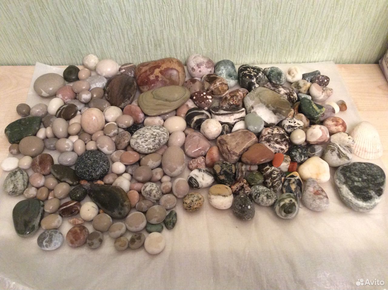 Камни с моря для аквариума купить на Зозу.ру - фотография № 1