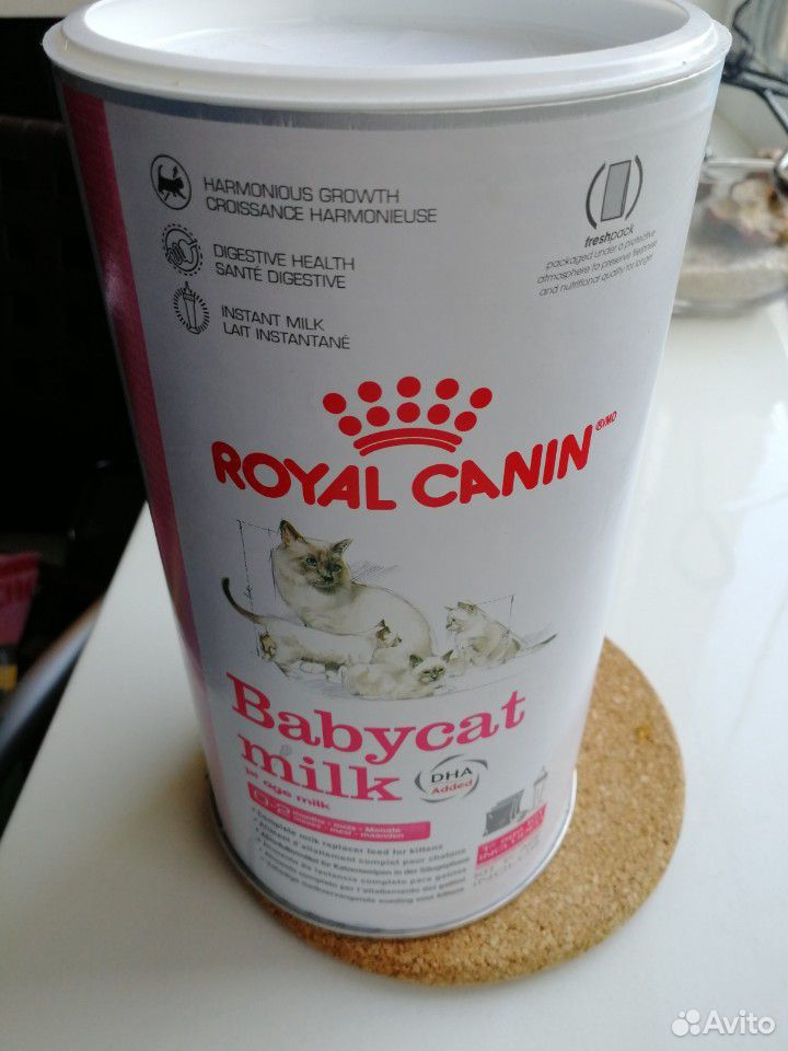 Корм Молочная смесь для котят Royal Canin babycat купить на Зозу.ру - фотография № 1