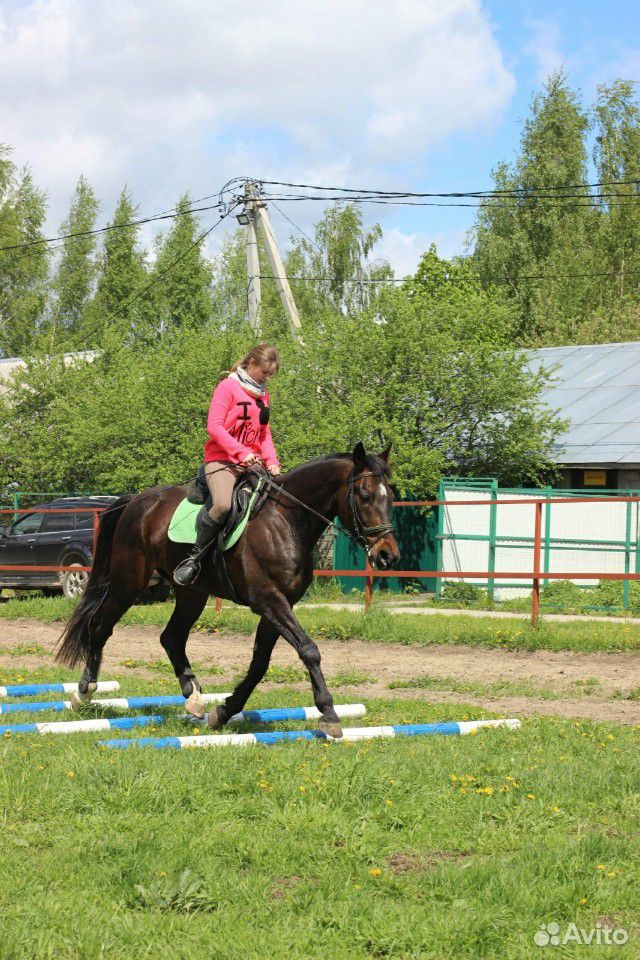 Аренда лошади купить на Зозу.ру - фотография № 1