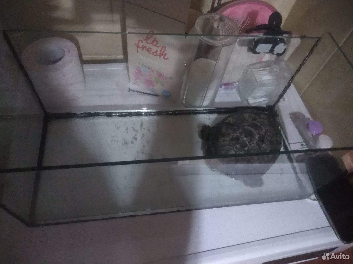 Черепаха с аквариумом бесплатно купить на Зозу.ру - фотография № 1