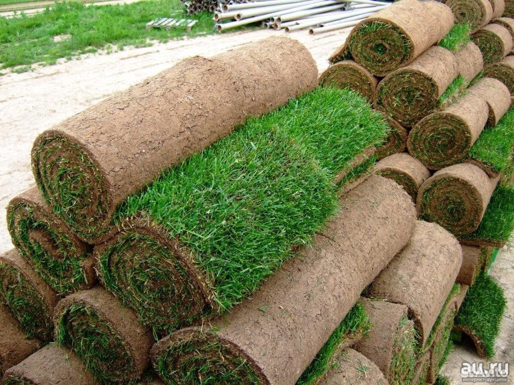 Рулонный газон трава в рулонах доставка купить на Зозу.ру - фотография № 3
