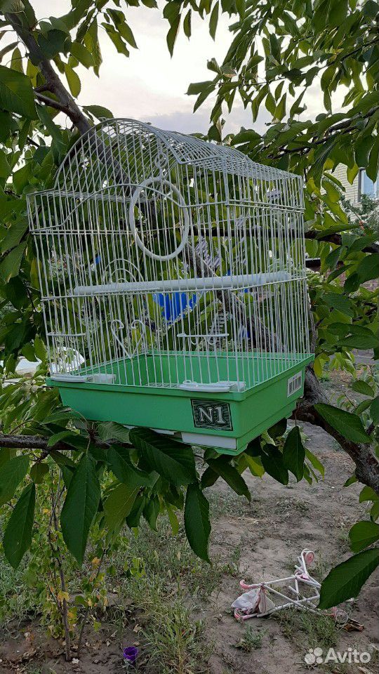 Клетка для попугаев попугайчиков попугая купить на Зозу.ру - фотография № 4