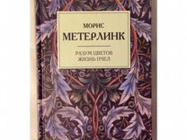 Книга тайная жизнь пчел сью. Тайная жизнь пчел книга обложка. Книга тайная жизнь пчел сью. Сью монк кид тайная жизнь пчел. Книга тайная жизнь пчел сью.
