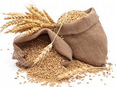 Продам зерно,пшеница