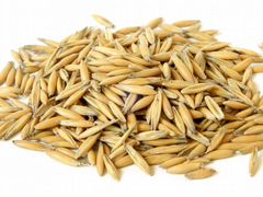Овес ячмень пшеница