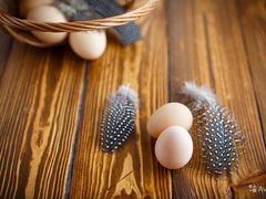 Цесариные яйца для инкубации