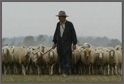 Разнорабочий, пастух