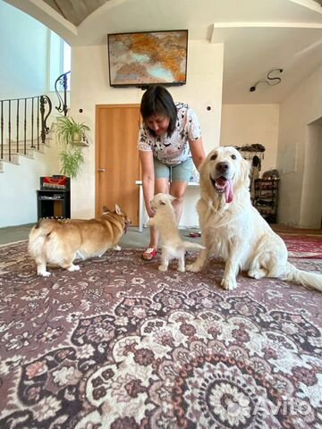 Передержка животных Район Сельхоз Института/юмр