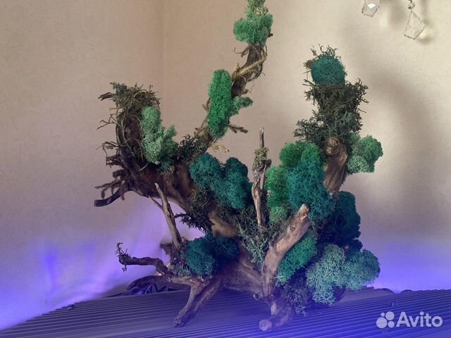 Украшение для дома