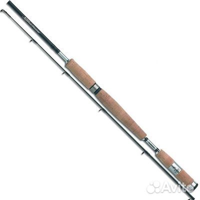 quantum torsion im6 spinning rod