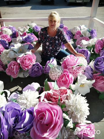 Передержка кошек