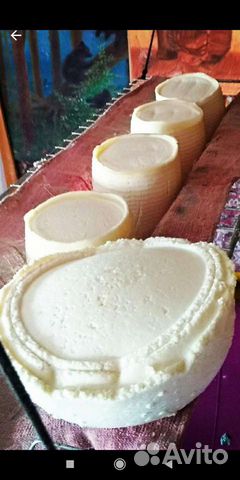 Козье молоко, козьи сыры