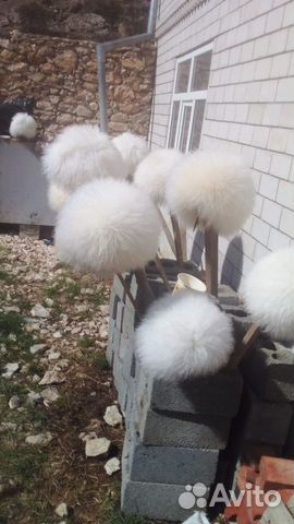 Папахи Кавказские Папаха Хабиба