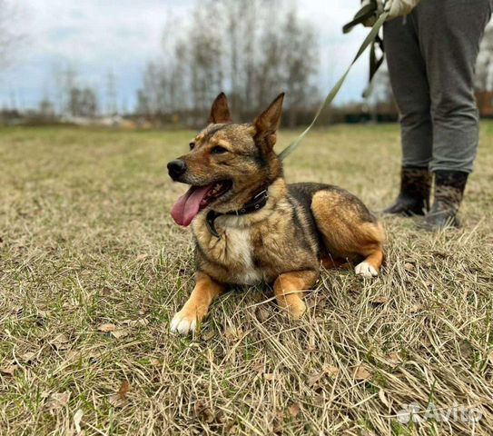 Спаси мне жизнь