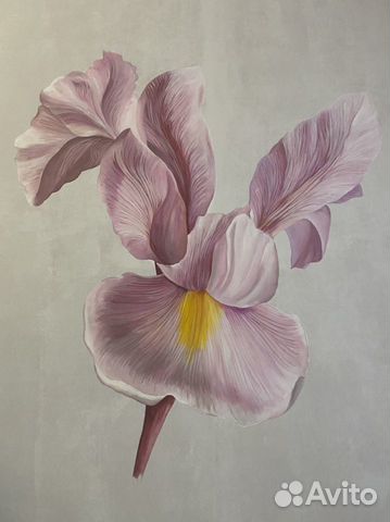 Роспись стен. Картины