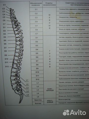 инструкция оздоровительный комплект русь 2007-tl-002