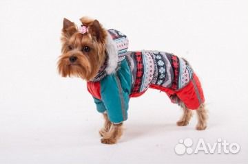 Зимняя одежда для собак купить на Зозу.ру - фотография № 4