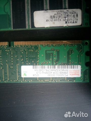 Ddr1