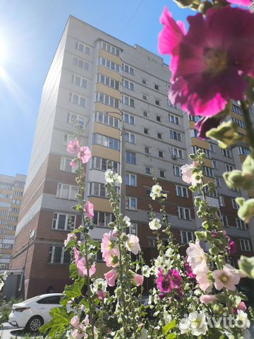 

1-к. квартира, 37 м², 2 кровати