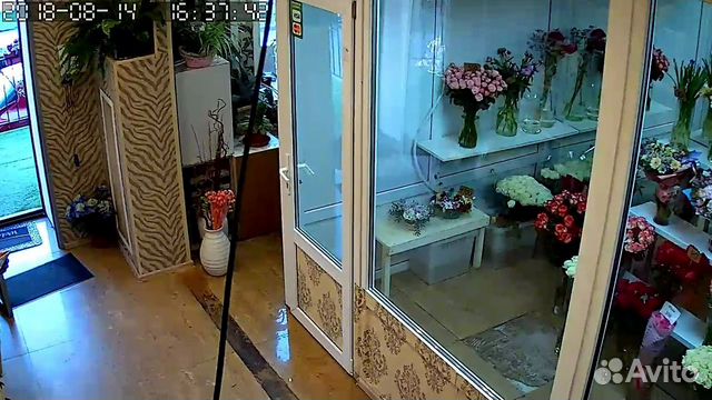 IP Камера IP Камера