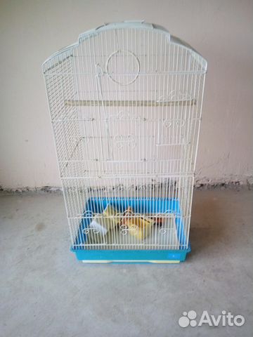 Клетка для птиц купить на Зозу.ру - фотография № 2