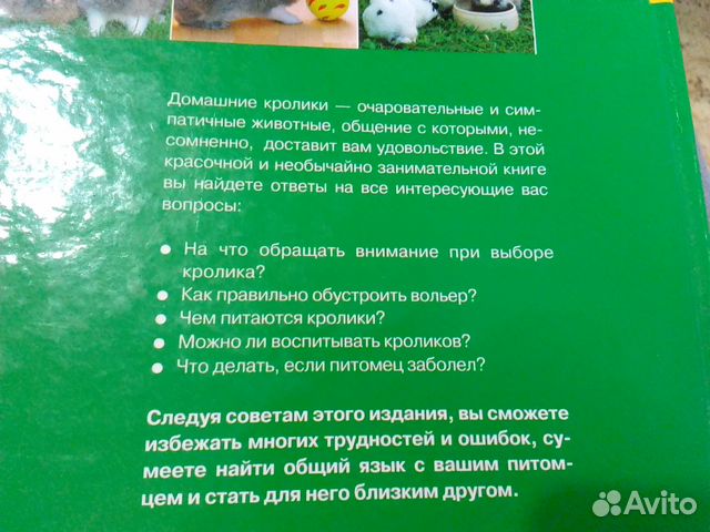 Книга Домашние кролики Книга Домашние кролики