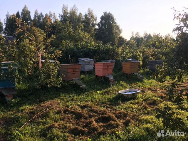 Домики с пчёлами купить на Зозу.ру - фотография № 6