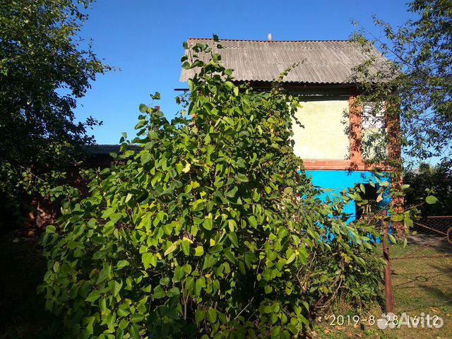 Дача 35 м² на участке 20 сот. Дача 35 м² на участке 20 сот.