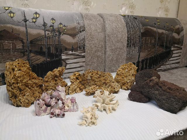 Кораллы для аквариума купить на Зозу.ру - фотография № 4