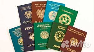 Рвп, внж, Гражданство под ключ