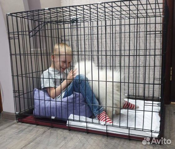 Клетка для активных собак и крупных собак