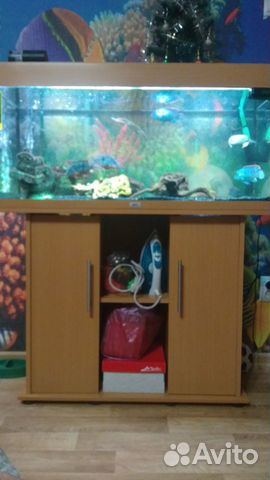 Распродаю аквариум Juwel Rio 180 купить на Зозу.ру - фотография № 1