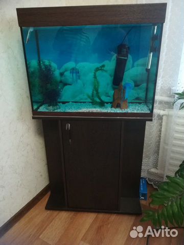 Продаю аквариум купить на Зозу.ру - фотография № 3