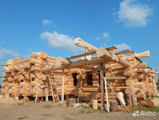 Сруб дома из рубленного бревна в диком стиле