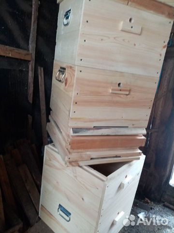 Пчелосемьи, ульи, мёд купить на Зозу.ру - фотография № 1