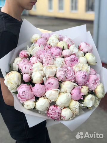 51 Пион 15 21 51 Пион 15 21