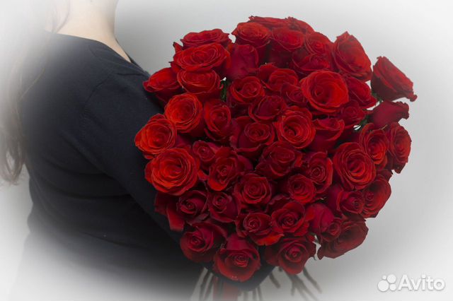 Букет Розы красные 59 шт Explorer Элитные