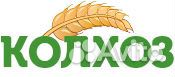 Продавец- кассир (молочный отдел) Продавец- кассир (молочный отдел)
