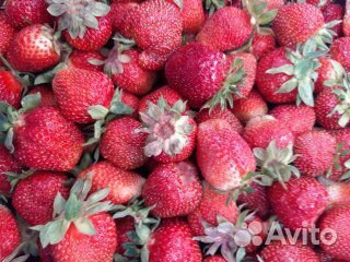 Сортовая клубника