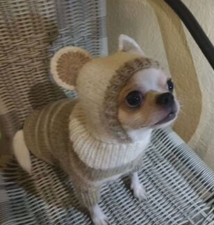 Свитер для собак и кошек